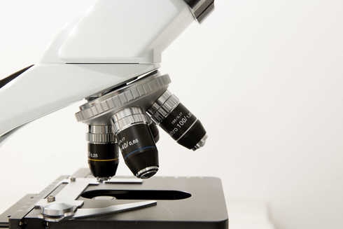 Mielin pod mikroskopom