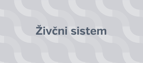 Živčni sistem