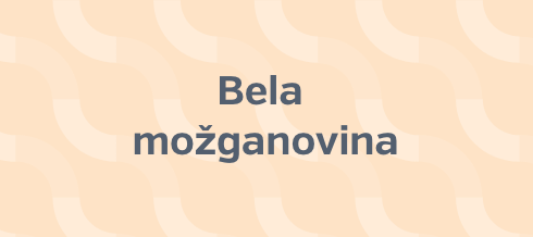 Bela možganovina