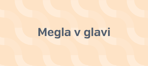 Megla v glavi