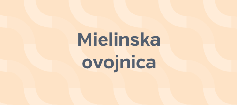 Mielinska ovojnica