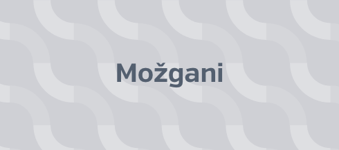 Možgani