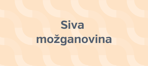Siva možganovina