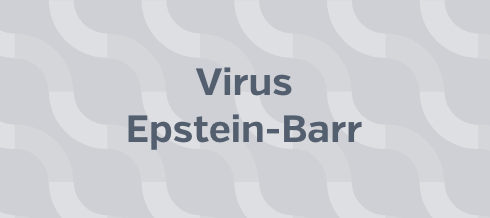 Virus Epstein-Barr