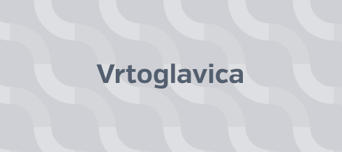 Vrtoglavica