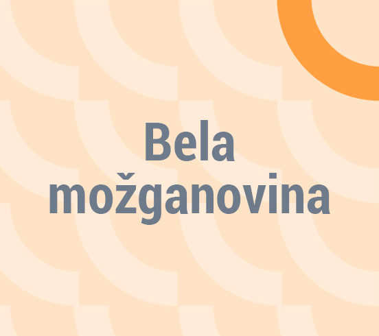 Bela možganovina