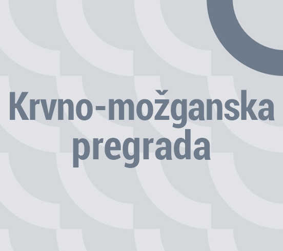 Krvno-možganska pregrada