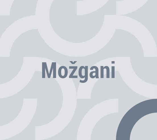Možgani