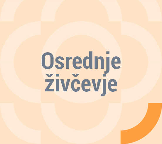 Osrednje živčevje – dirigent orkestra našega telesa.