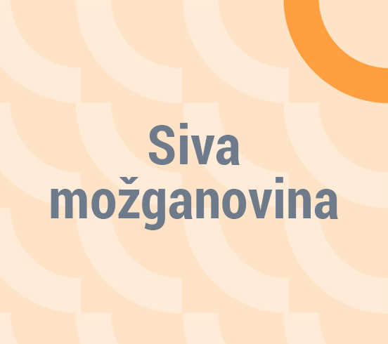 Siva možganovina