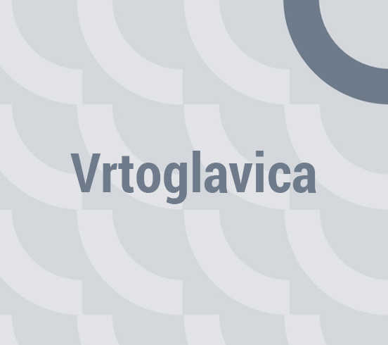 Vrtoglavica