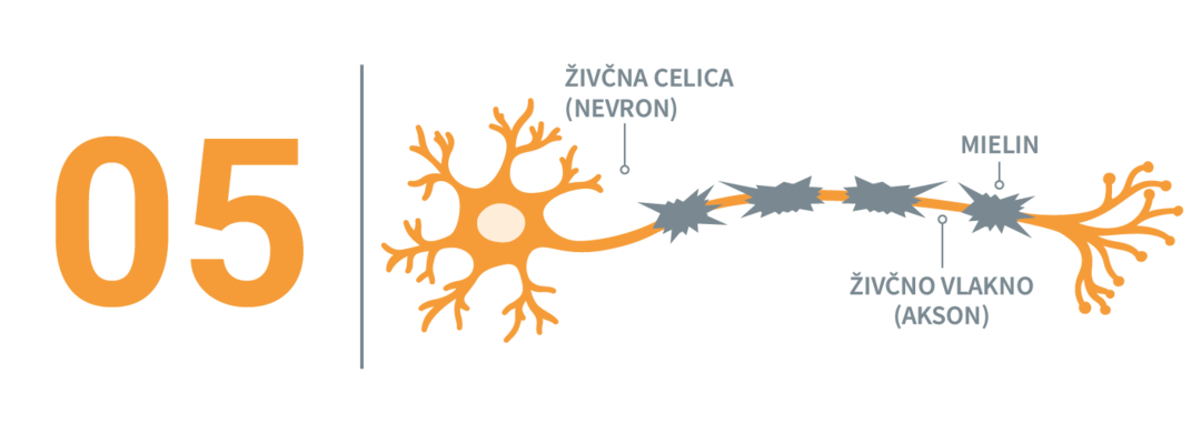 Poškodovana živčna celica