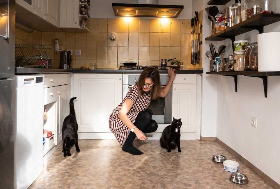 Darja in mačke